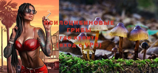 хмурый Алексеевка